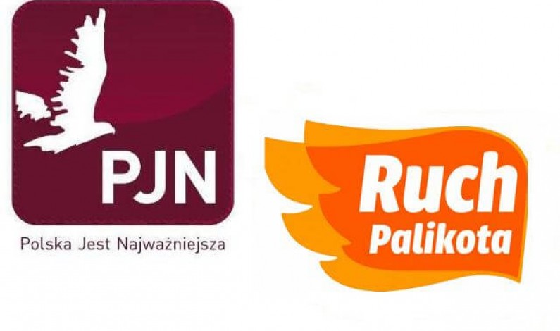 Wybory 2011 w Internecie: PJN i Ruch Palikota bazują na indywidualnościach