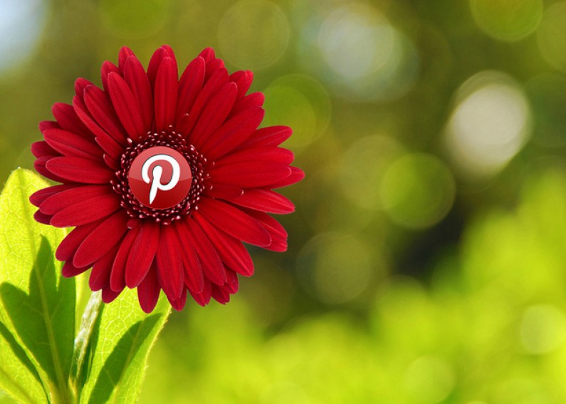 Pinterest nie zwalnia: 70 milionów użytkowników, co trzeci jest aktywny