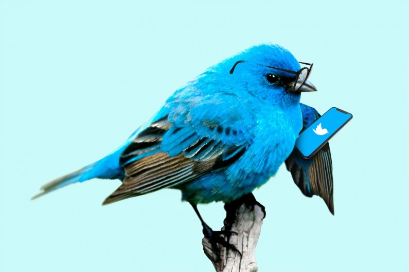 Twitter dostarczy nam więcej informacji o nadawcy wiadomości prywatnej