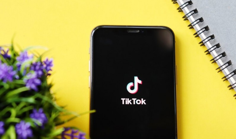 Follow me – nowy program od TikToka dla małych i średnich firm
