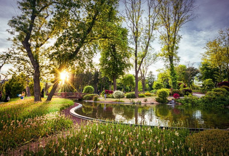 Ogrody botaniczne, które musisz zobaczyć — przewodnik po najpiękniejszych ogrodach
