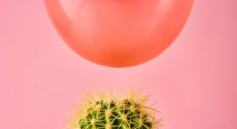 balon lądujący na kaktusie. Wszystko na różowym tle.