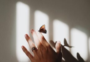 Motyl i ręka