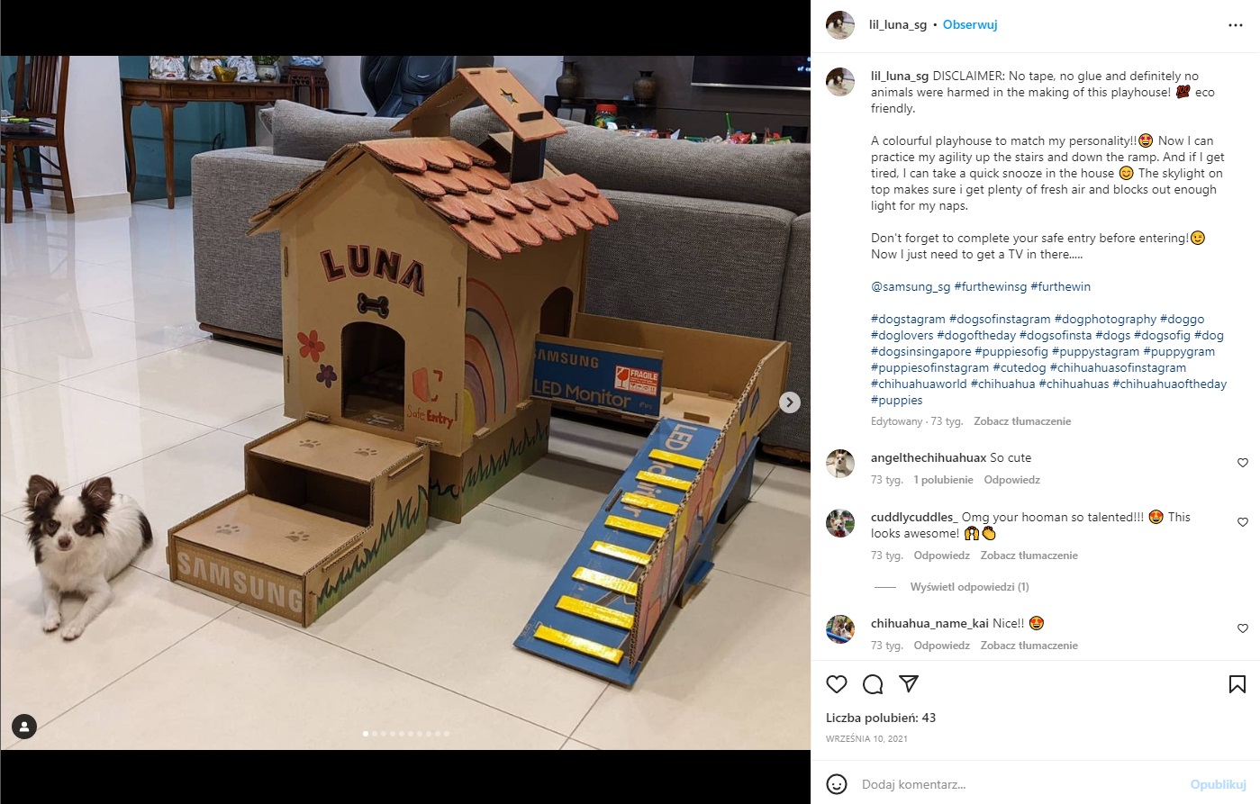 Post Lil_Luna_SG na Instagramie